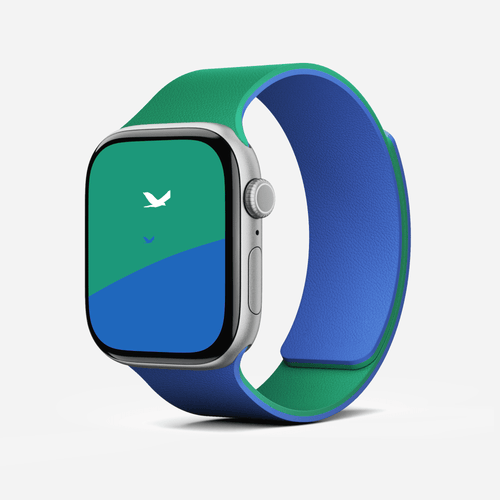 Snap Duo Watch Bands MD025 46 Roam Green x Beyond Blue 